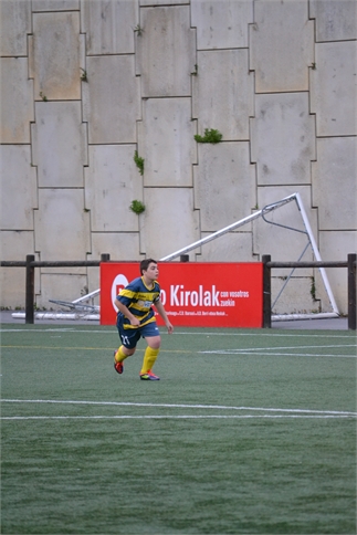 Ibarsusi b 10 -3 - 2013